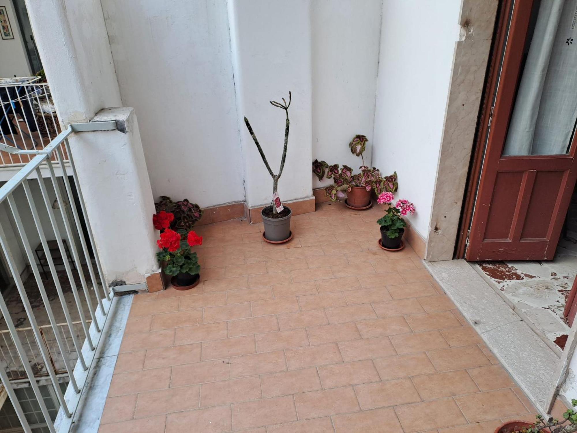 קטאניה B&B Domus Pina מראה חיצוני תמונה